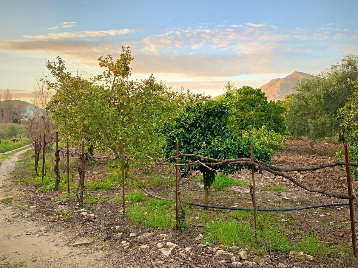 Acogedora casa rural en Zahara de la Sierra Exterior foto