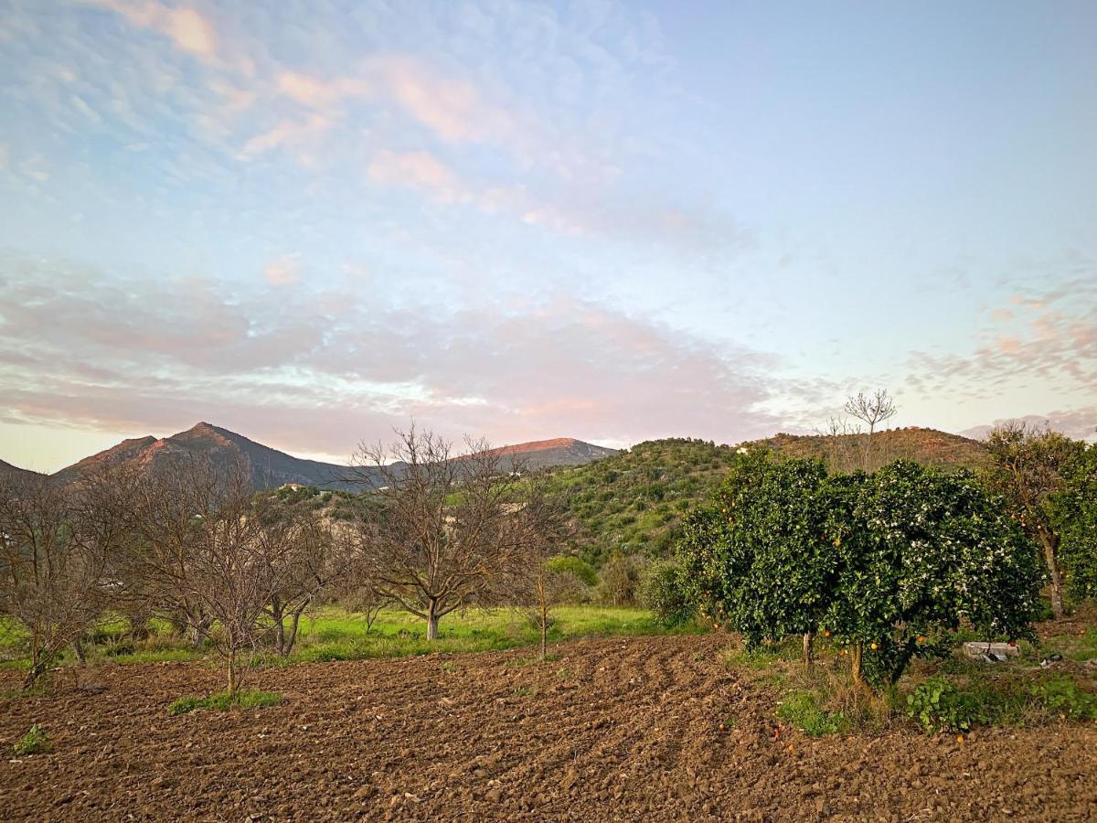 Acogedora casa rural en Zahara de la Sierra Exterior foto