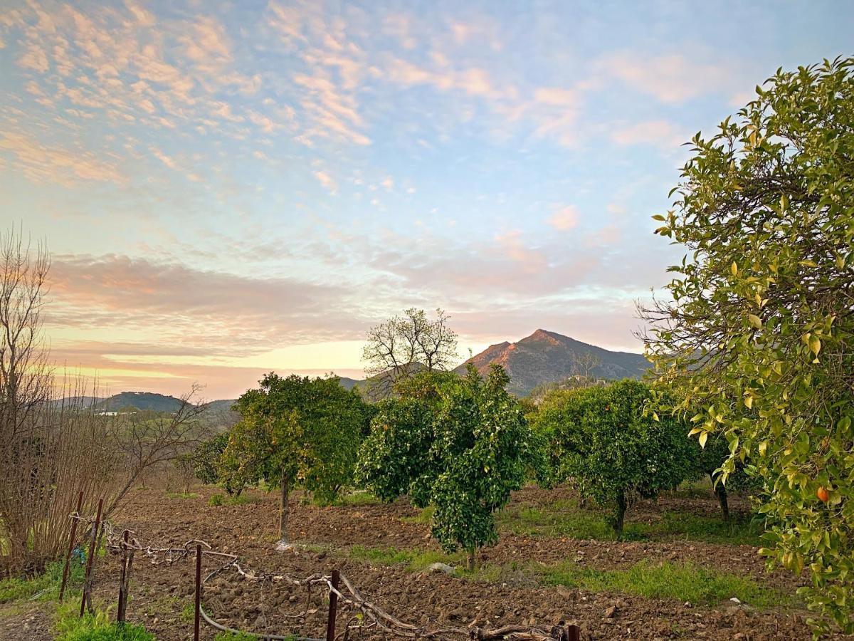 Acogedora casa rural en Zahara de la Sierra Exterior foto